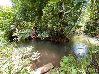 ขาย ที่ดิน ใน ทองผาภูมิ, กาญจนบุรี