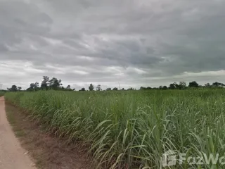 For sale land in Mueang Kamphaeng Phet, Kamphaeng Phet