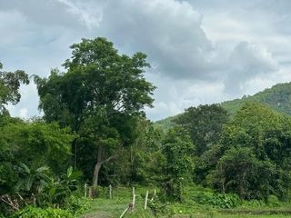 For sale land in Mae Chan, Chiang Rai