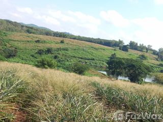 For sale land in Mae Chan, Chiang Rai
