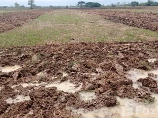For sale land in Dok Khamtai, Phayao