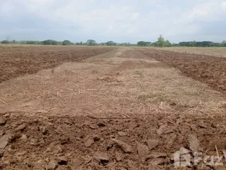 For sale land in Dok Khamtai, Phayao