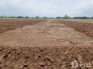 For sale land in Dok Khamtai, Phayao