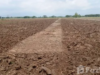 For sale land in Dok Khamtai, Phayao