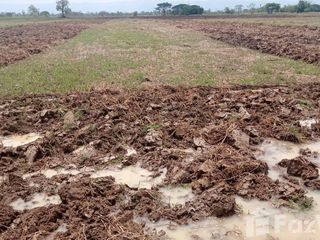 For sale land in Dok Khamtai, Phayao