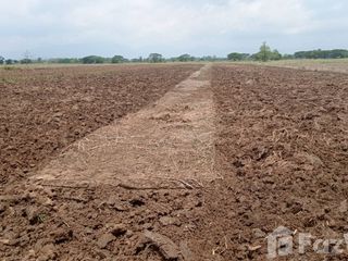 For sale land in Dok Khamtai, Phayao