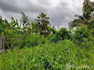 For sale land in Phutthamonthon, Nakhon Pathom