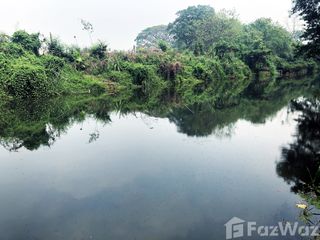 For sale land in Chiang Dao, Chiang Mai