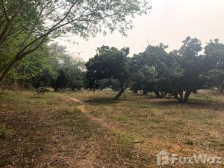 For sale land in Chiang Dao, Chiang Mai