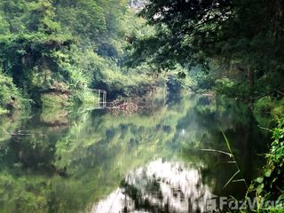 For sale land in Chiang Dao, Chiang Mai