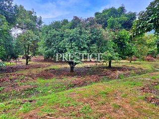 For sale land in Khao Khitchakut, Chanthaburi