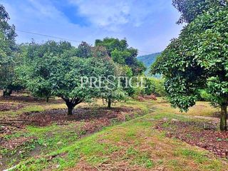 For sale land in Khao Khitchakut, Chanthaburi