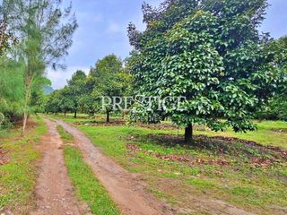 For sale land in Khao Khitchakut, Chanthaburi