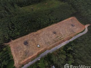 For sale land in Sadao, Songkhla