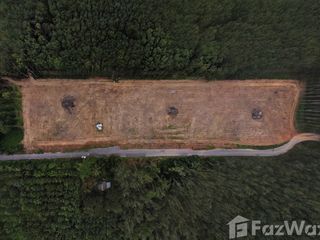 For sale land in Sadao, Songkhla