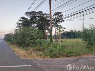For sale land in Pa Tio, Yasothon