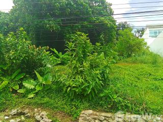 For sale land in Mueang Phuket, Phuket