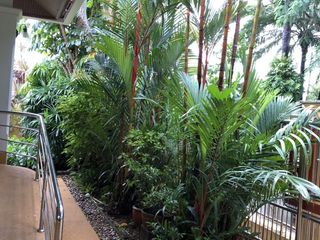 For rent 2 bed house in Thalang, Phuket