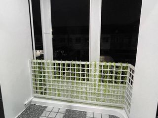 For sale 2 Beds house in Lam Luk Ka, Pathum Thani