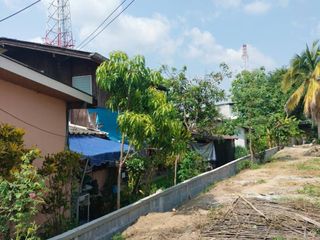 For sale land in Pai, Mae Hong Son