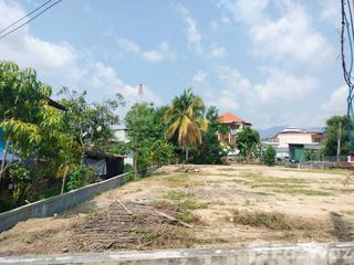 For sale land in Pai, Mae Hong Son