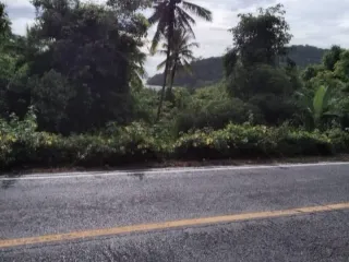 For sale land in Ko Chang, Trat