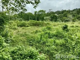 For sale land in Ko Chang, Trat