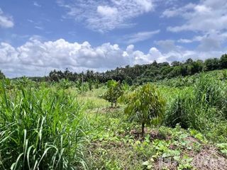 For sale land in Bo Rai, Trat
