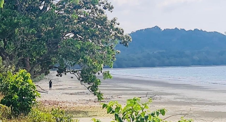 For sale land in Khura Buri, Phang Nga