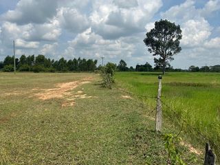 For sale land in Mueang Buriram, Buriram