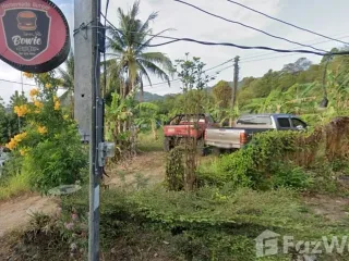 ขาย ที่ดิน ใน เมืองภูเก็ต, ภูเก็ต