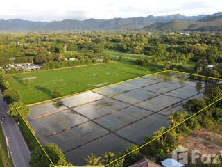 For sale land in San Kamphaeng, Chiang Mai