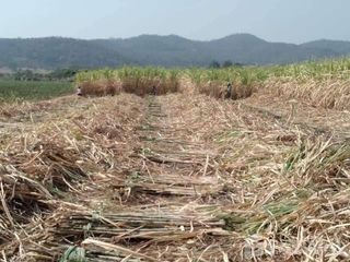 For sale land in Khok Charoen, Lopburi