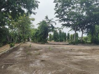 For sale land in Mueang Phuket, Phuket