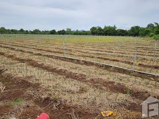 For sale land in Mueang Kanchanaburi, Kanchanaburi