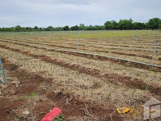 For sale land in Mueang Kanchanaburi, Kanchanaburi