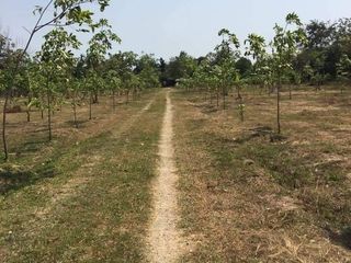 For sale land in Mueang Phetchaburi, Phetchaburi
