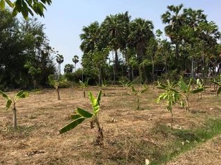 For sale land in Mueang Phetchaburi, Phetchaburi
