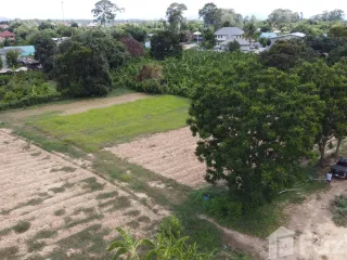For sale land in Tha Yang, Phetchaburi