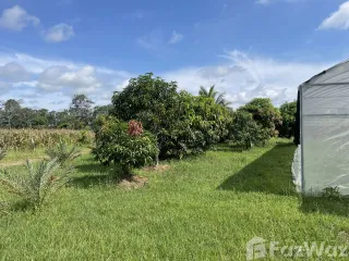 For sale land in Samrong, Ubon Ratchathani