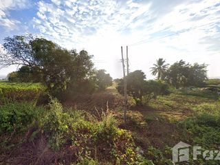 For sale land in Chiang Khong, Chiang Rai