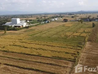 For sale land in Dok Khamtai, Phayao