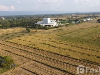For sale land in Dok Khamtai, Phayao