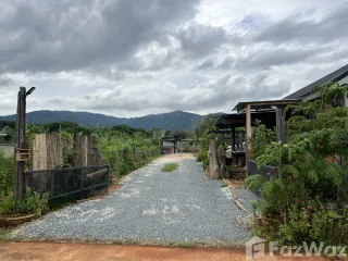 For rent 2 bed house in Mueang Chiang Rai, Chiang Rai