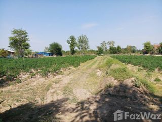 For sale land in Phimai, Nakhon Ratchasima