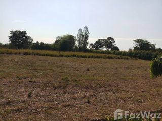 For sale land in Phimai, Nakhon Ratchasima