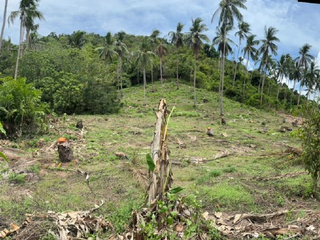 For sale land in Ko Samui, Surat Thani