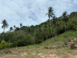 For sale land in Ko Samui, Surat Thani