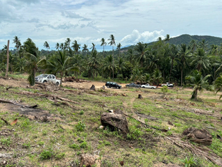 For sale land in Ko Samui, Surat Thani