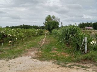 For sale land in Ban Kha, Ratchaburi